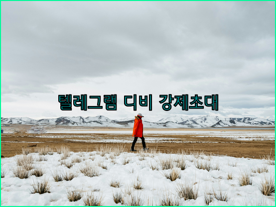 텔레그램 디비 강제초대