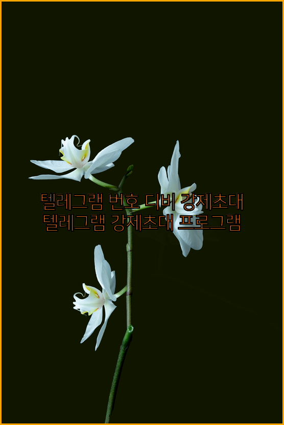 텔레그램 강제 초대